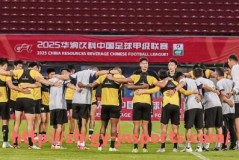 JN江南体育-2014年西甲联赛完整赛程及球队表现分析