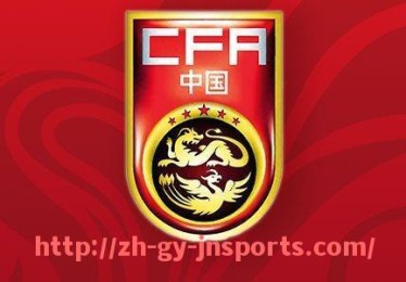 JN江南体育-火箭队中国籍球员名单及其在NBA中的表现