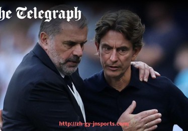 JN江南体育-加入德甲职业球队有哪些标准与审核流程？